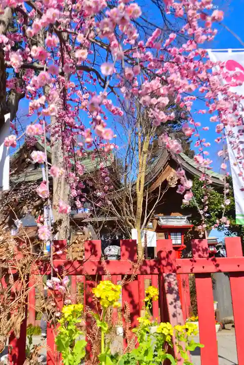 川越八幡宮(埼玉県)