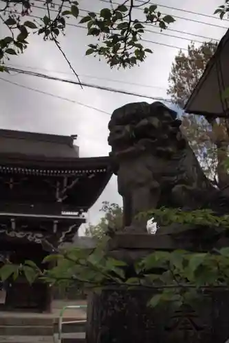 御崎神社の狛犬