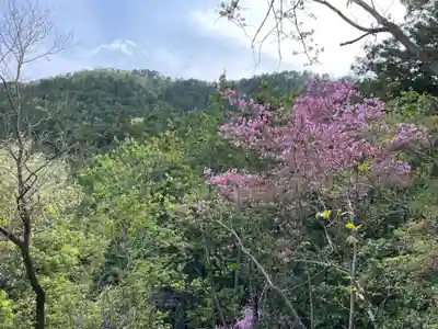 秋葉神社(京都府)