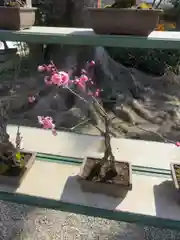 菅原天満宮（菅原神社）の自然