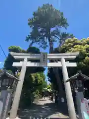 菊田神社の鳥居