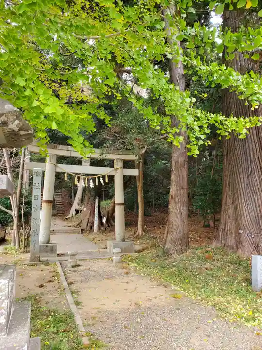 日吉神社(千葉県)