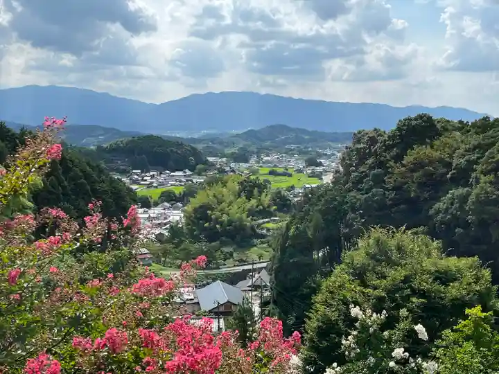 岡寺(龍蓋寺)(奈良県)