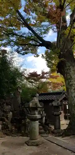 松戸神社(千葉県)
