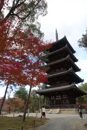 仁和寺の塔