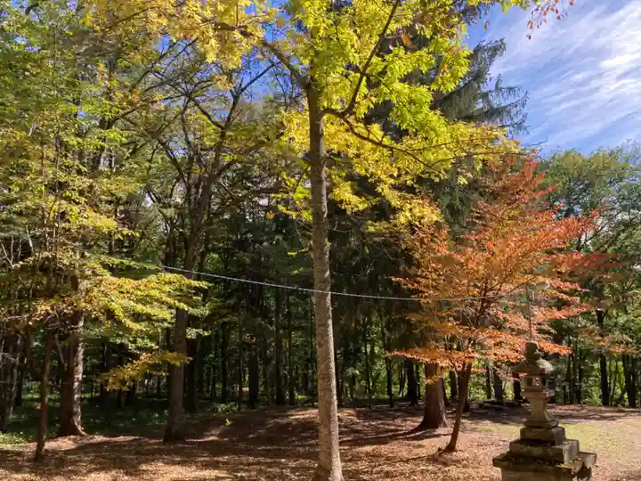 温根湯神社の自然