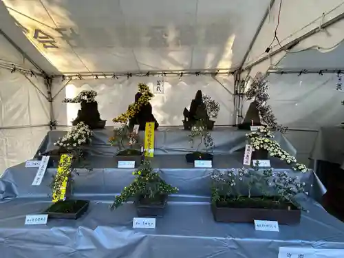 穂高神社本宮(長野県)