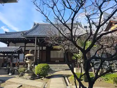 圓通寺(大阪府)