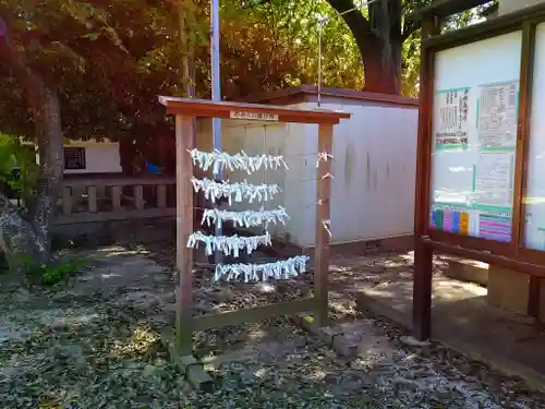 市杵島神社のおみくじ