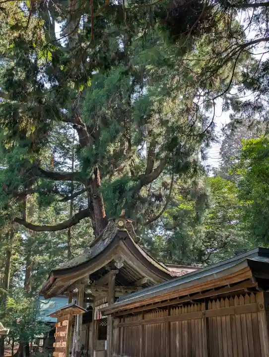 若狭姫神社(若狭彦神社下社)の{uncategorized: "未分類", other: "その他", undefined: "問題あり", building: "その他建物", grave: "お墓", sacred_gate: "鳥居", guardian: "狛犬", statue: "像", buddha: "仏像", history: "歴史", nature: "自然", garden: "庭園", animal: "動物", pagoda: "塔", temizu: "手水舎", mountain_gate: "山門・神門", sanctuary: "本殿・本堂", subordinate: "末社・摂社", art: "芸術", scenery: "景色", jizo: "地蔵", ema: "絵馬", goshuin: "御朱印", omikuji: "おみくじ", items: "授与品その他", amulet: "お守り", goshuincho: "御朱印帳", eats: "食事", festival: "お祭り", votive_dance: "神楽", shichigosan: "七五三参", wedding: "結婚式", experience: "体験その他", initially: "初詣", around: "周辺", anti_infection: "感染症対策"}