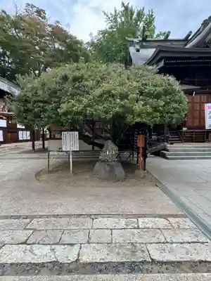 武水別神社(長野県)