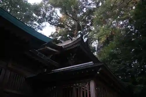 生目神社(宮崎県)