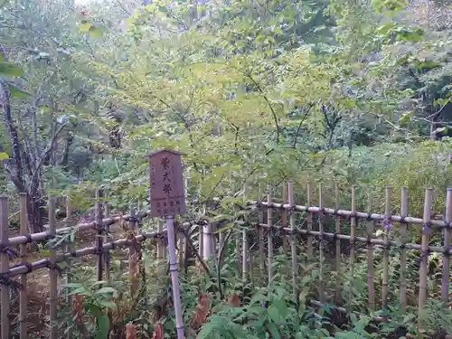 天龍寺(京都府)