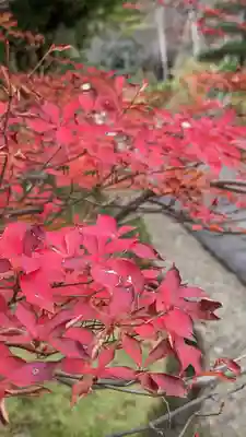 法金剛院(京都府)