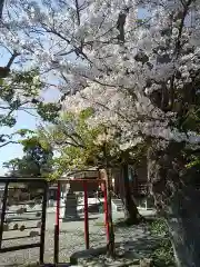 杉杜白髭神社(福井県)