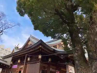 湯島天満宮の本殿・本堂