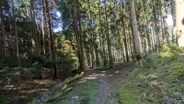 薬師堂(大原戸寺鎮座)(京都府)