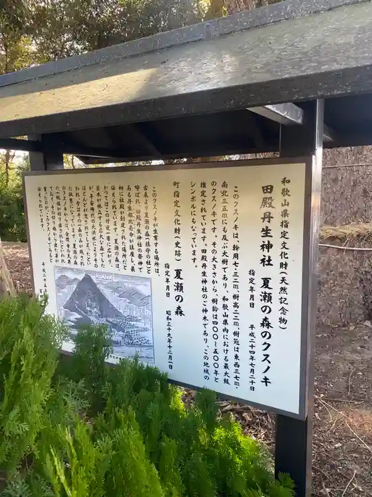 田殿丹生神社(和歌山県)
