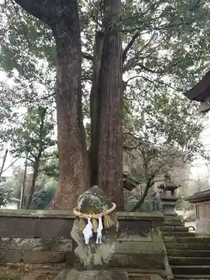 北宮阿蘇神社の自然