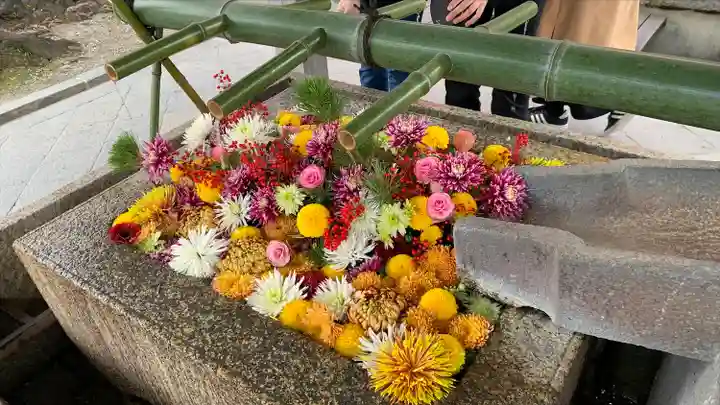 八坂神社(祇園さん)(京都府)