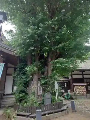 登渡神社(千葉県)
