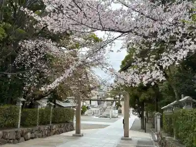 廣田神社の{uncategorized: "未分類", other: "その他", undefined: "問題あり", building: "その他建物", grave: "お墓", sacred_gate: "鳥居", guardian: "狛犬", statue: "像", buddha: "仏像", history: "歴史", nature: "自然", garden: "庭園", animal: "動物", pagoda: "塔", temizu: "手水舎", mountain_gate: "山門・神門", sanctuary: "本殿・本堂", subordinate: "末社・摂社", art: "芸術", scenery: "景色", jizo: "地蔵", ema: "絵馬", goshuin: "御朱印", omikuji: "おみくじ", items: "授与品その他", amulet: "お守り", goshuincho: "御朱印帳", eats: "食事", festival: "お祭り", votive_dance: "神楽", shichigosan: "七五三参", wedding: "結婚式", experience: "体験その他", initially: "初詣", around: "周辺", anti_infection: "感染症対策"}