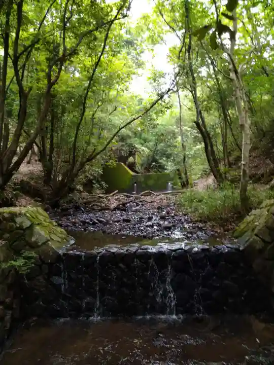 中山寺奥之院の自然