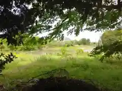 神社(名称不明)の景色