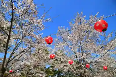 櫻岡大神宮のお祭り