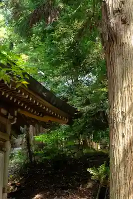 度津神社(新潟県)