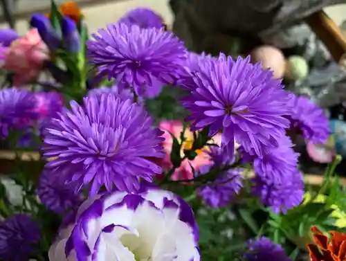 滑川神社 - 仕事と子どもの守り神の手水舎
