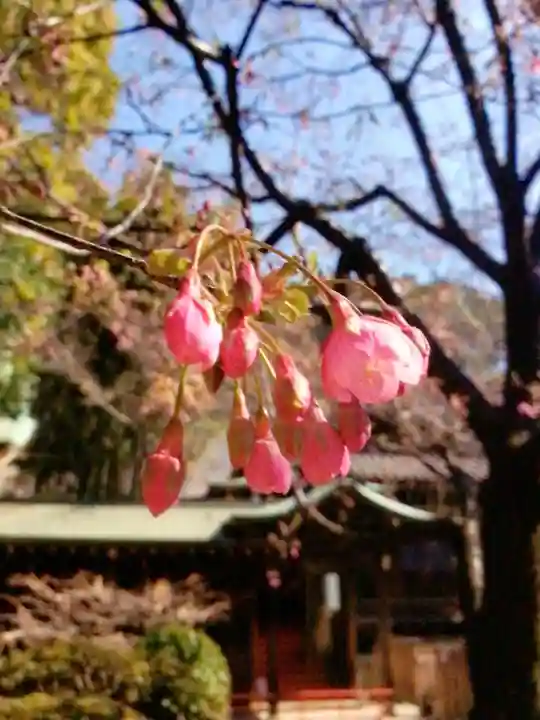 代々木八幡宮(東京都)