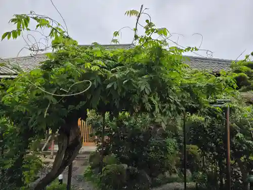 圓通寺(京都府)