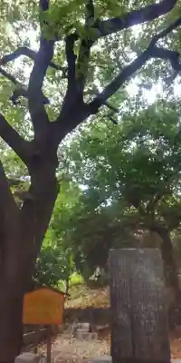 湯島聖堂(東京都)