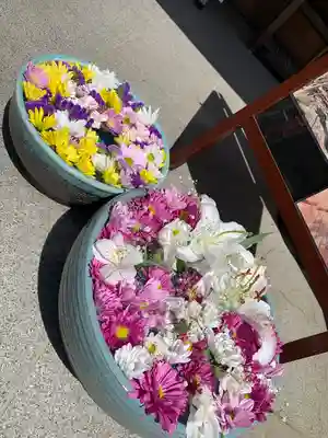 大聖護国寺(群馬県)