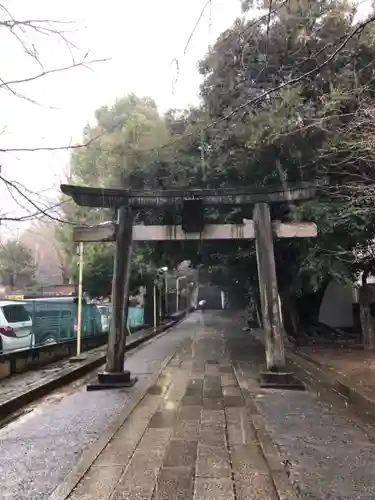 渋谷氷川神社の鳥居