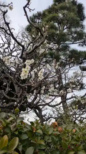  智積院(京都府)