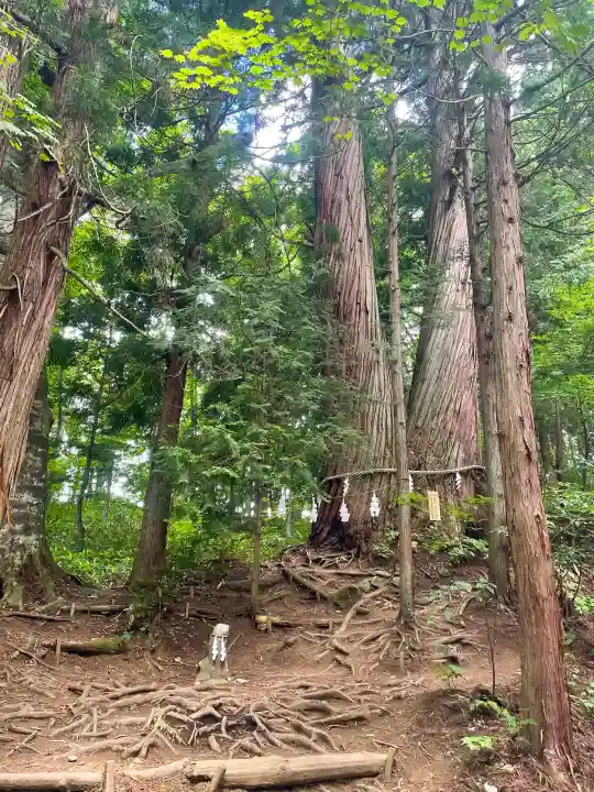 戸隠神社火之御子社の{uncategorized: "未分類", other: "その他", undefined: "問題あり", building: "その他建物", grave: "お墓", sacred_gate: "鳥居", guardian: "狛犬", statue: "像", buddha: "仏像", history: "歴史", nature: "自然", garden: "庭園", animal: "動物", pagoda: "塔", temizu: "手水舎", mountain_gate: "山門・神門", sanctuary: "本殿・本堂", subordinate: "末社・摂社", art: "芸術", scenery: "景色", jizo: "地蔵", ema: "絵馬", goshuin: "御朱印", omikuji: "おみくじ", items: "授与品その他", amulet: "お守り", goshuincho: "御朱印帳", eats: "食事", festival: "お祭り", votive_dance: "神楽", shichigosan: "七五三参", wedding: "結婚式", experience: "体験その他", initially: "初詣", around: "周辺", anti_infection: "感染症対策"}