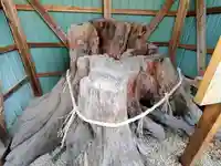 神明社(小山鹿取)の自然