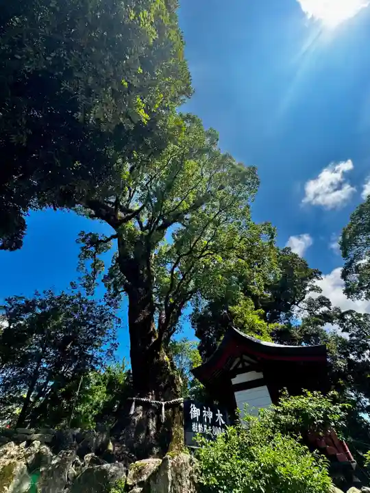 鹿児島神宮(鹿児島県)