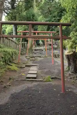 鹿児島神宮の鳥居