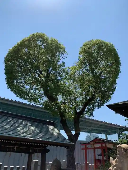 南宮宇佐八幡神社(脇浜神社)の自然