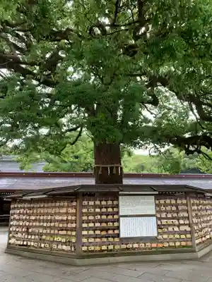 明治神宮(東京都)