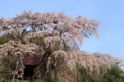 上石不動堂の自然