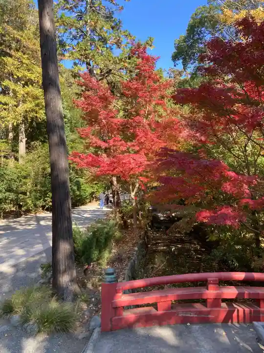 鶴岡八幡宮の庭園