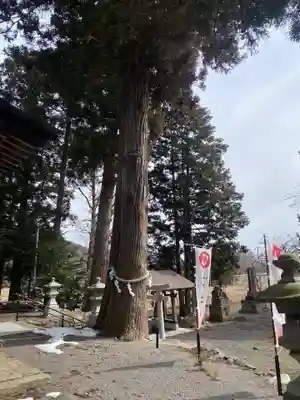 高司神社〜むすびの神の鎮まる社〜(福島県)