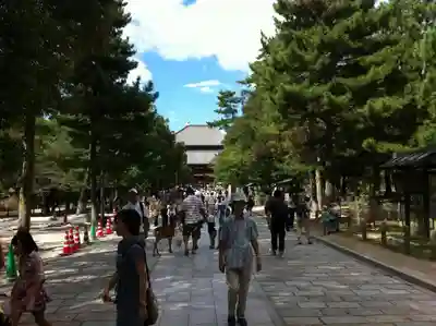 東大寺の本殿・本堂