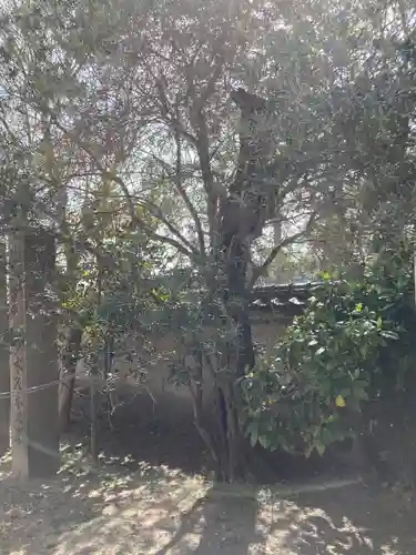 宝蔵寺のその他建物