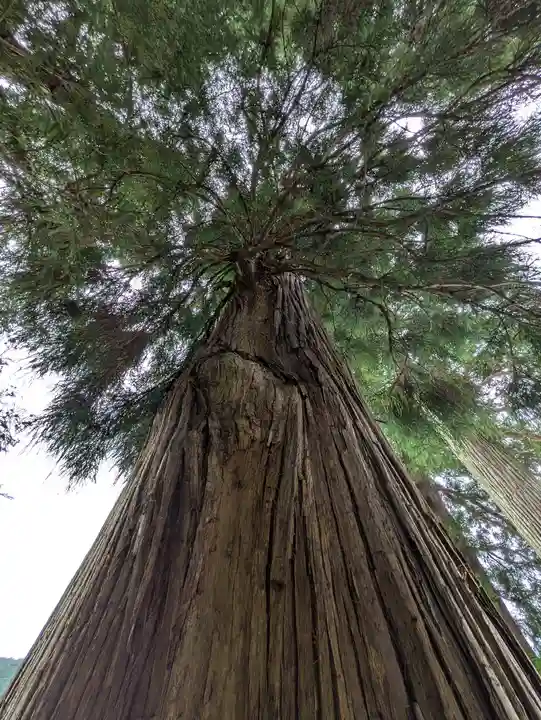 西宮神社(兵庫県)