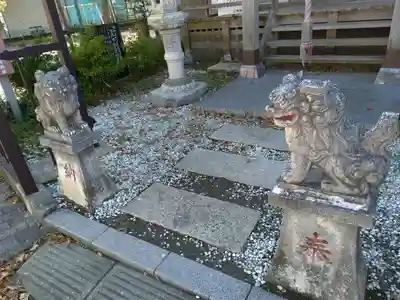 公郷神社の狛犬